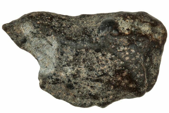 Lunar Meteorite ( g) - Laayoune #313141